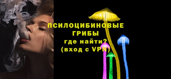 крисы Богданович