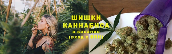 ECSTASY Богородск